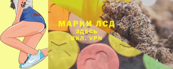 индика Лабытнанги