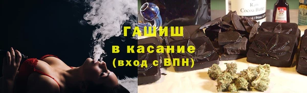 индика Лабытнанги