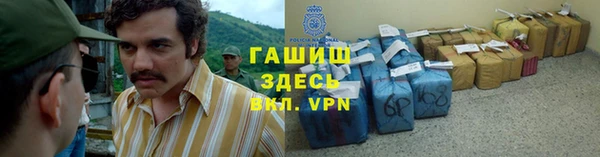 индика Лабытнанги