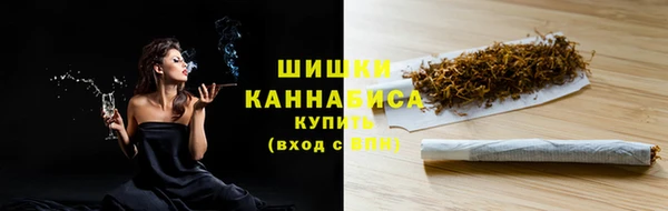 индика Лабытнанги
