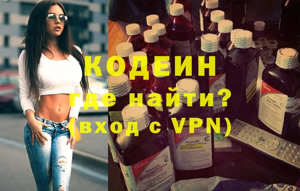 индика Лабытнанги