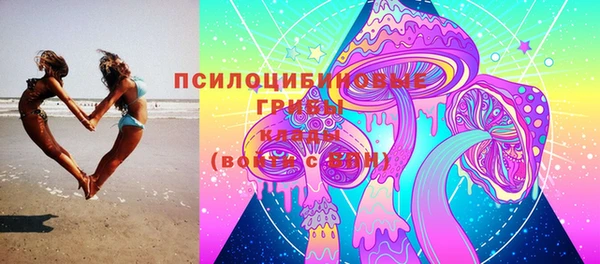 индика Лабытнанги