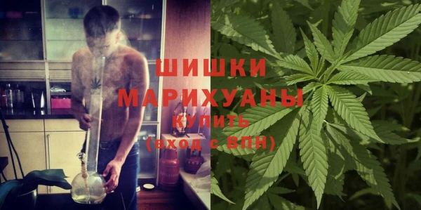 индика Лабытнанги