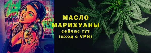индика Лабытнанги