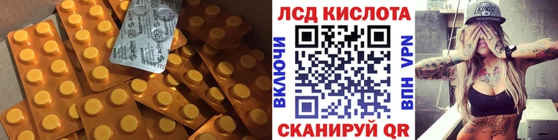как найти закладки  Эртиль  mega ONION  ЛСД экстази ecstasy 